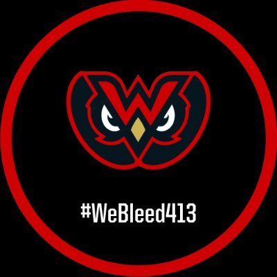 WhipcityOwls's profile picture. Official Twitter Of @IceTiltHL Whip City Owls #WeBleed413
