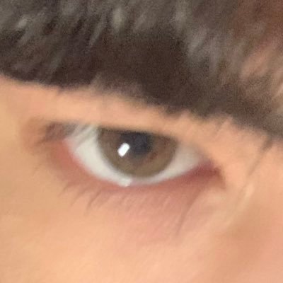 confussykys's profile picture. gaycel stochastic terrorist, non practicing romantic