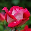 StantonTif14566's profile picture. Follow me and get 100% follow back 💯💯💯💯💯💯💯 Follow Back 💯 Follow Back 💯💯💯💯💯💯💯 follow Follow Back