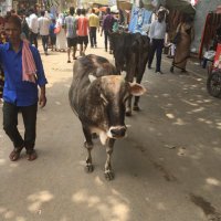 元期間工@フリーター (@777freestyle) Twitter profile photo