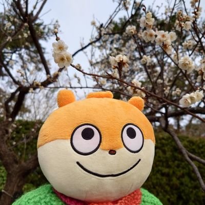 koneririUGsuki Profile Picture