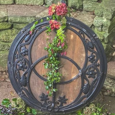 rie_po_yo's profile picture. 夜歴4年🦚