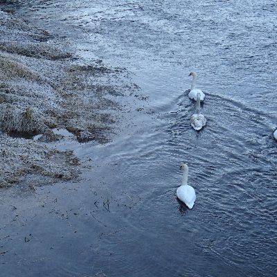 Von der Wildnis berührt. Wildtierbeobachtung, Selbstbeobachtung, Psychologie, Spirituelles, Gedichte. Trauertagebuch
Früher FrauScharfsinn und NaturundStille