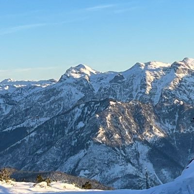 The_real_Schenk's profile picture. 