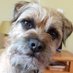 Rupert Riggsby (@RuperttheBT) Twitter profile photo