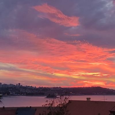 Doğa ve hayvan sever, 7 kedi ,15 köpek ablası.🐈🐕