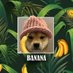 BANANA (@bananasolana_) Twitter profile photo BANANA (@bananasolana_) Twitter profile photo