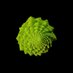 Cesare Zago (@cesare_zago) Twitter profile photo