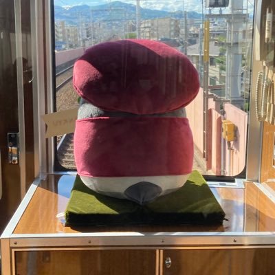 m_nacs_love's profile picture. 💖サザンオールスターズ応援団員&原坊の朝顔14代目里親✨THANK YOU SO MUCHツアー@京セラドーム2days&LV🌸柳暗花明💚安田顕、アイシナモロール、TEAM NACS💚コウペンちゃん🐧、楓浜🍁🐼浜家🔴大阪関西万博は3回