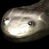 Coming at you straight from the Antarctic Circle, Victoria’s state giant amphibian inexplicably has a Twitter.
 I crave elasmarians (banner by Arioch Paleoart)