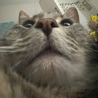 jamessgetin's profile picture. 🏳️‍🌈🏳️‍⚧️