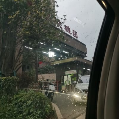 chenpi455334's profile picture. 