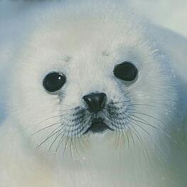 ImfindThanks's profile picture. Christian/Student/