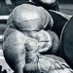 Musclefan (@muscleandchat) Twitter profile photo Musclefan (@muscleandchat) Twitter profile photo