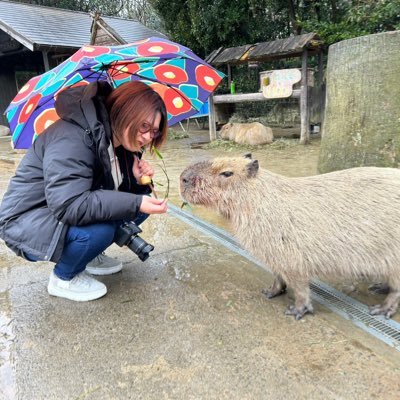 さきさんのプロフィール画像