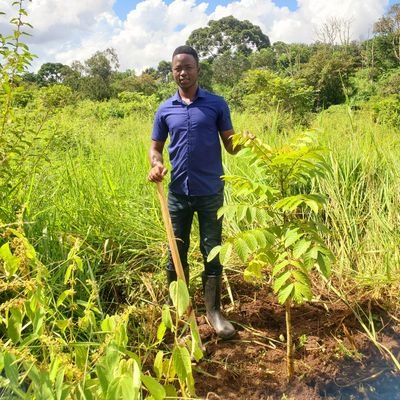 Passionate Forester | #climatechange | #Climatejustice |#sustainableagroforestry 
Knows a thing or two about #Bamboo