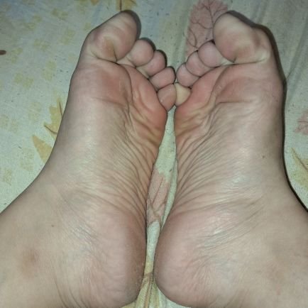 Feet of a hard-working kitten, imperfect and messy feet, if you like them I accept donations :3

Latina 🇨🇱

https://t.co/cH4cdDU25q