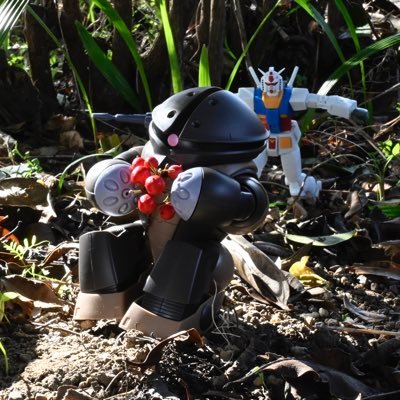 taidanaACGUY's profile picture. 