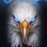 BORSA MANYAĞI (@borsamanyagiii) 's Twitter Profile