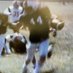 bgriff44 (@bgriff442) Twitter profile photo bgriff44 (@bgriff442) Twitter profile photo