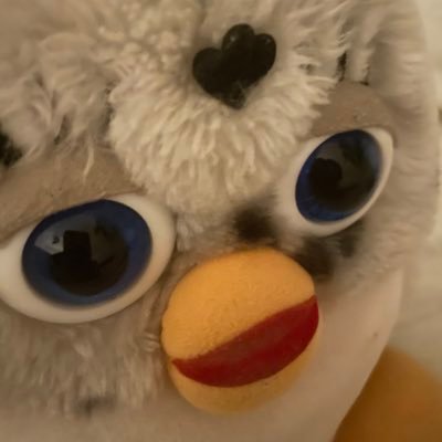 BoonBoonBOOo's profile picture. スペイン語だけでつぶやく🍎