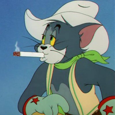 Saddle up for laughs and crypto chaos with Cowboytomcat! 🤠🚀 #MemeCoin Maverick. #CryptoCowboy
TG : https://t.co/uXqo2lT1O4