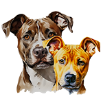 RoscoenStella's profile picture. Read Our Story Just dogs who are being Bullied cus of our breed.  #Dontbullymybreed #pitbulls #pitbullsarefamily #roscoenstella #pets #dogs #love