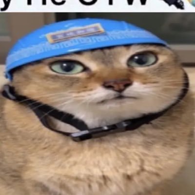 unfazeddz's profile picture. the fog is coming