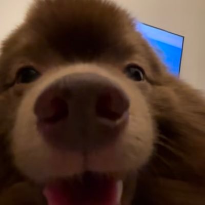 nyom1255443's profile picture. 동린이입니다🥹
많은 도움 주시면 감사하겠습니당