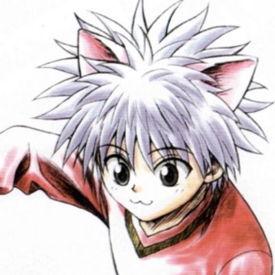 i’m going to be honest with you i’ve never actually seen hunter x hunter