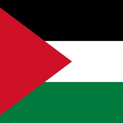 Gazasaurus24's profile picture. 🇿🇦 🇮🇪🇧🇪 🇾🇪 🏳️‍🌈🍉❤️✊🏽