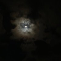 ⭐️ (@www___722) 's Twitter Profile