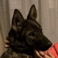 David (@sdavee69) 's Twitter Profile