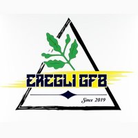 Ereğli GFB (@gfberegli) Twitter profile photo
