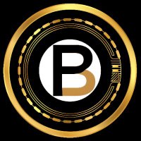 BLACK POUND COIN(@blackpoundcoin) 's Twitter Profile Photo