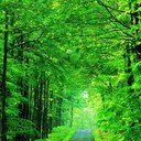 Esther Cha (Bo hyun) - @yourfox9 - Twitter