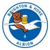 Seagulls Over Columbus (@cbusseagulls) Twitter profile photo Seagulls Over Columbus (@cbusseagulls) Twitter profile photo