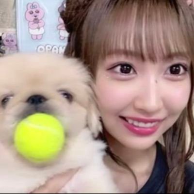 miyomiyomaru Profile Picture