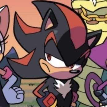 amateur shadow the hedgehog collector
& autistic bitch ♡
birthday 04/01/2004 🎂