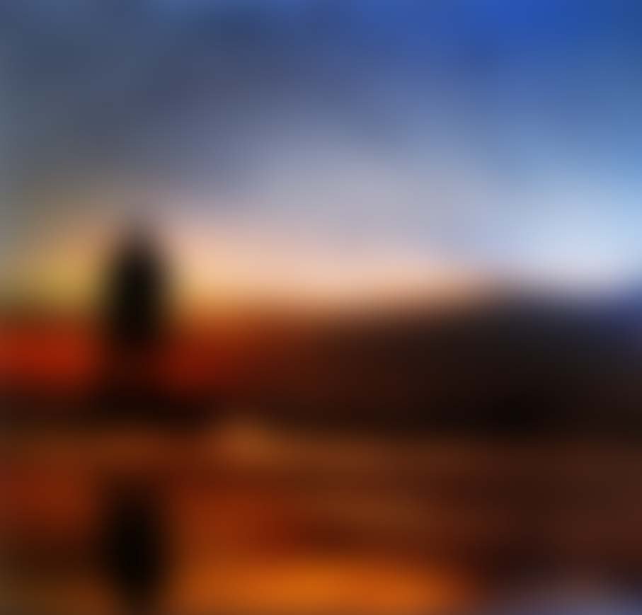 Arnold185075's profile picture. الحساب الرسمي