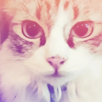 Cosmicitryさんのプロフィール画像