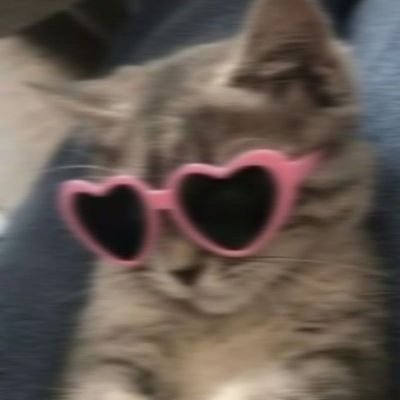 galonkutinggal4's profile picture. 