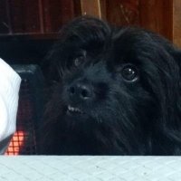 Lurbe (@lurbeae) 's Twitter Profile