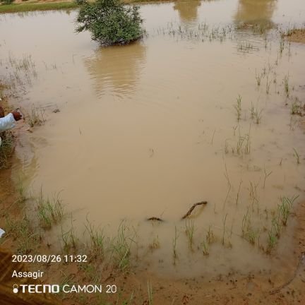 Alhousayni23051's profile picture. 