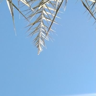 Smilito's profile picture. 