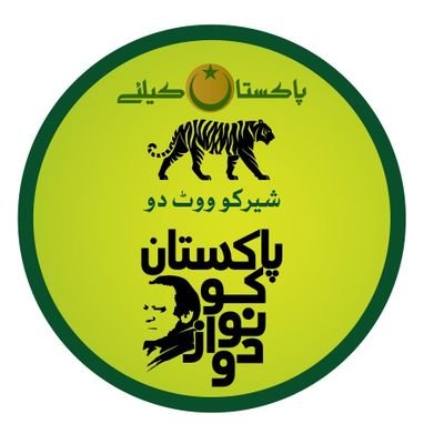 Khizar_zahoor ( PML N 🦁❤️👍🏻- LHR. SMT ) Profile
