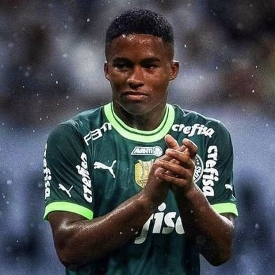 conta reserva do @goldorony.

vou usar até voltar a principal.

Palmeiras y nada más. 🐷