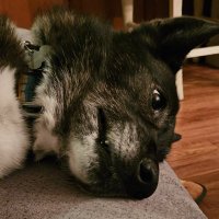 whymustidothis (@whymustidothis5) 's Twitter Profile