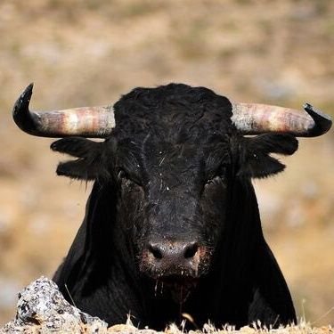Por Dios.
Por España.
Caballero de Cristo. Siervo de la Virgen María.
Levante español.
No hay un acto más revolucionario que decir la verdad.