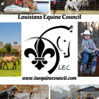 Louisiana Equine Council(@laequinecouncil) 's Twitter Profile Photo